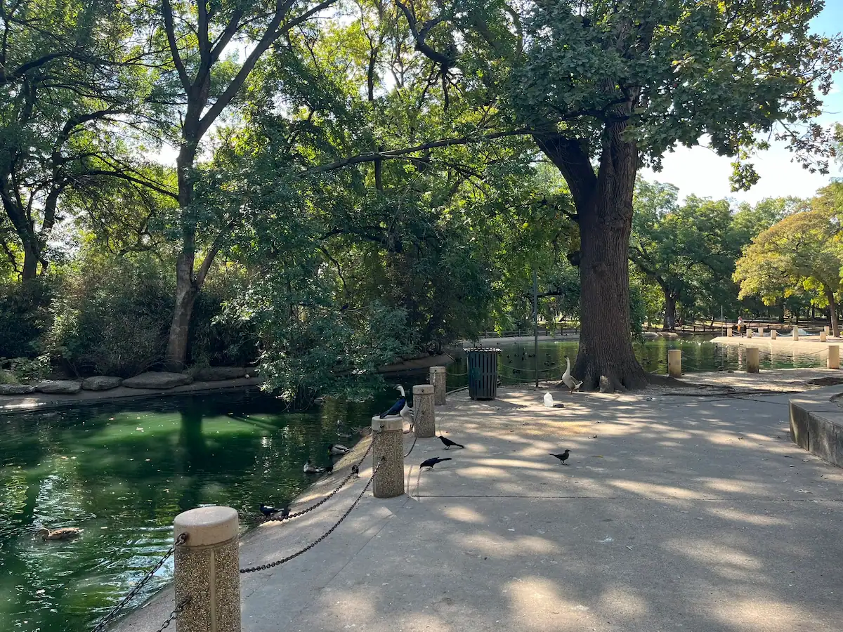 Fort Worth Parks Strategic Planning