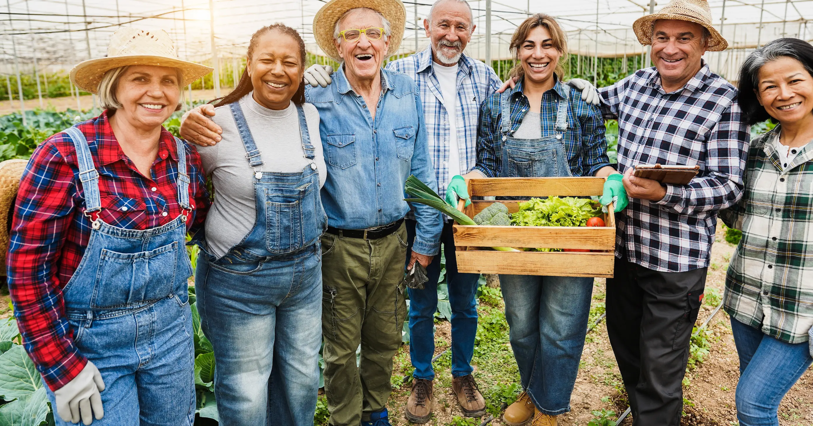 Kern County Catalyst Program Management