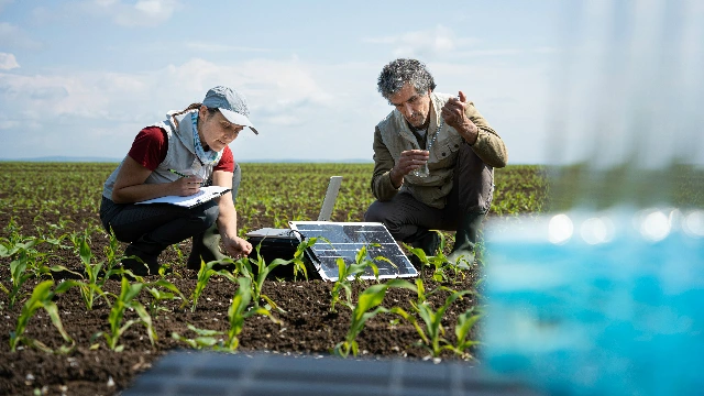 Los Angeles County Catalyst Program Management